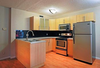 Stainless steel appliances*